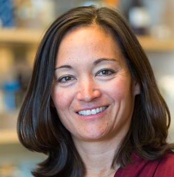 Shelley Miyamoto, MD